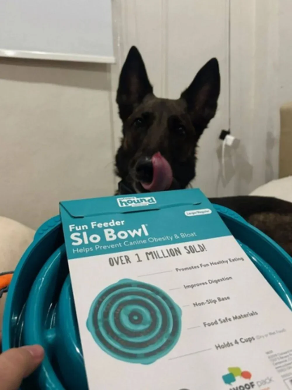 NWT ~ Outward Hound's Fun Feeder Slo Bowl For Dogs, Size Large/Regular